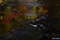 DSC_0008_928