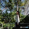 s-DSC_0616