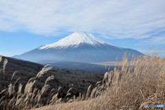 富士山 (4)