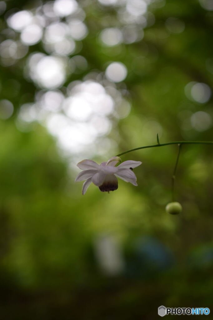 DSC_0080_6738
