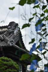 s-DSC_0166_4208