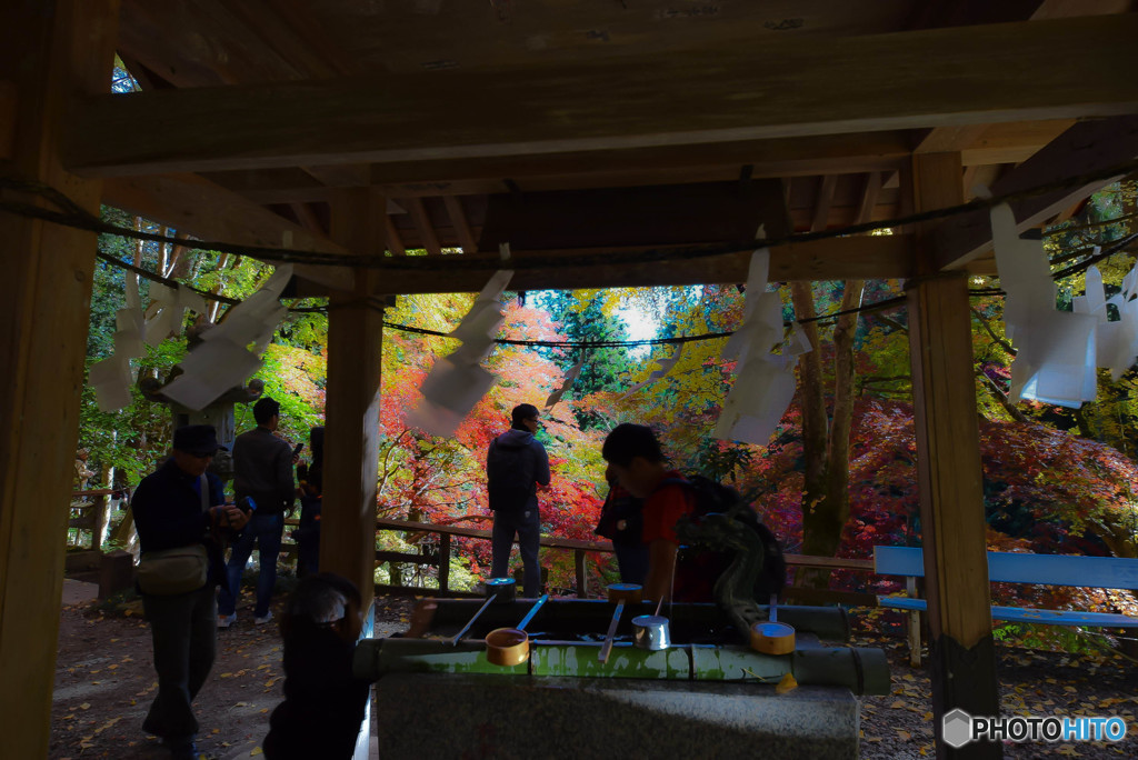 DSC_0056_952