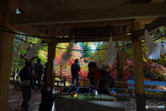 DSC_0056_952