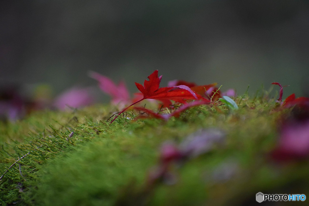 DSC_0162_753