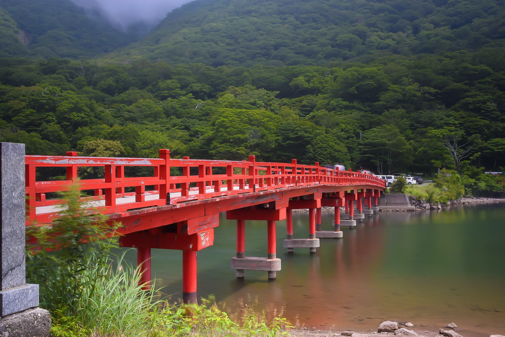 赤城神社 (14)