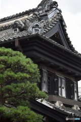 s-DSC_0172_4210