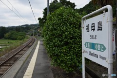 s-DSC_0004_2919