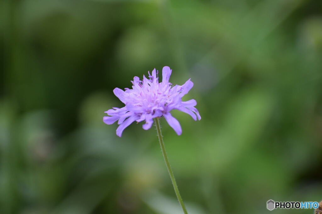 DSC_0038_6710