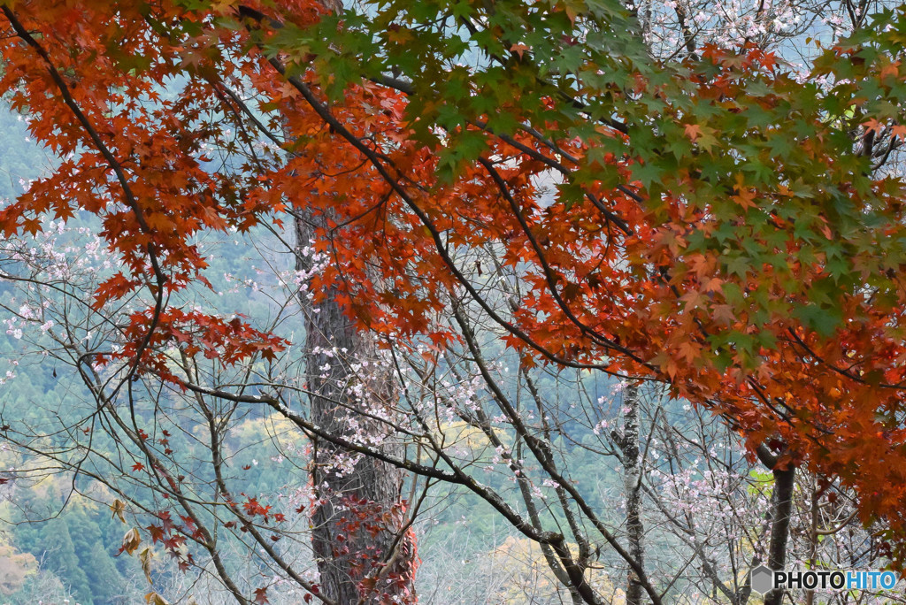 DSC_0089_828