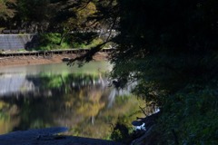 s-DSC_0022_11688