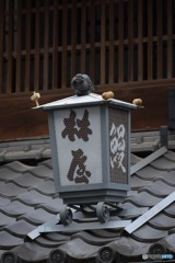 s-DSC_0249_4236