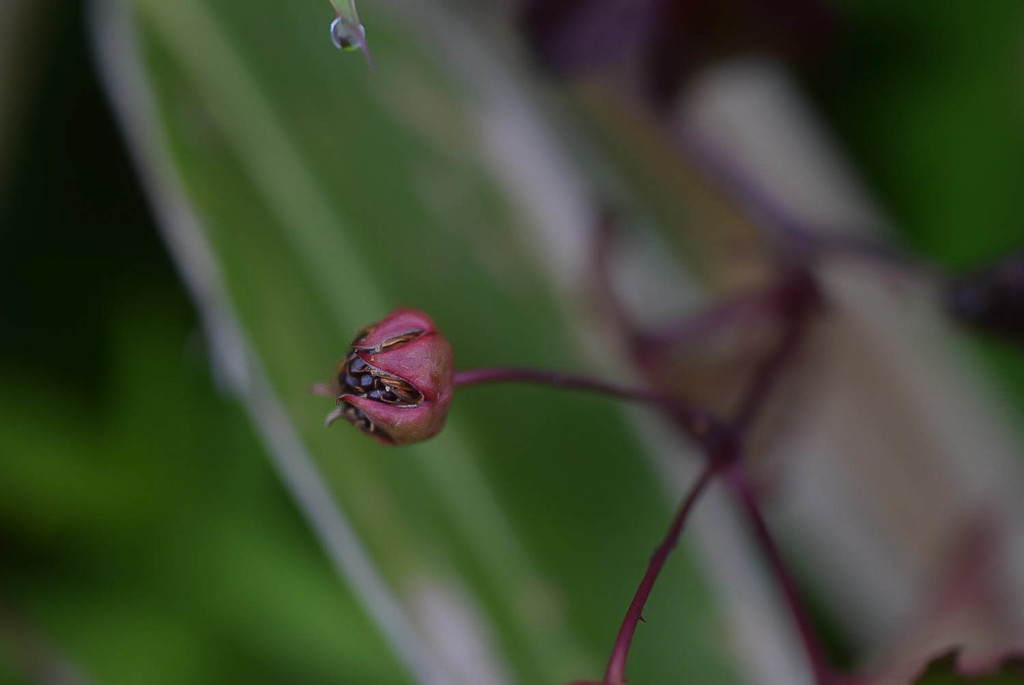 DSC_0055
