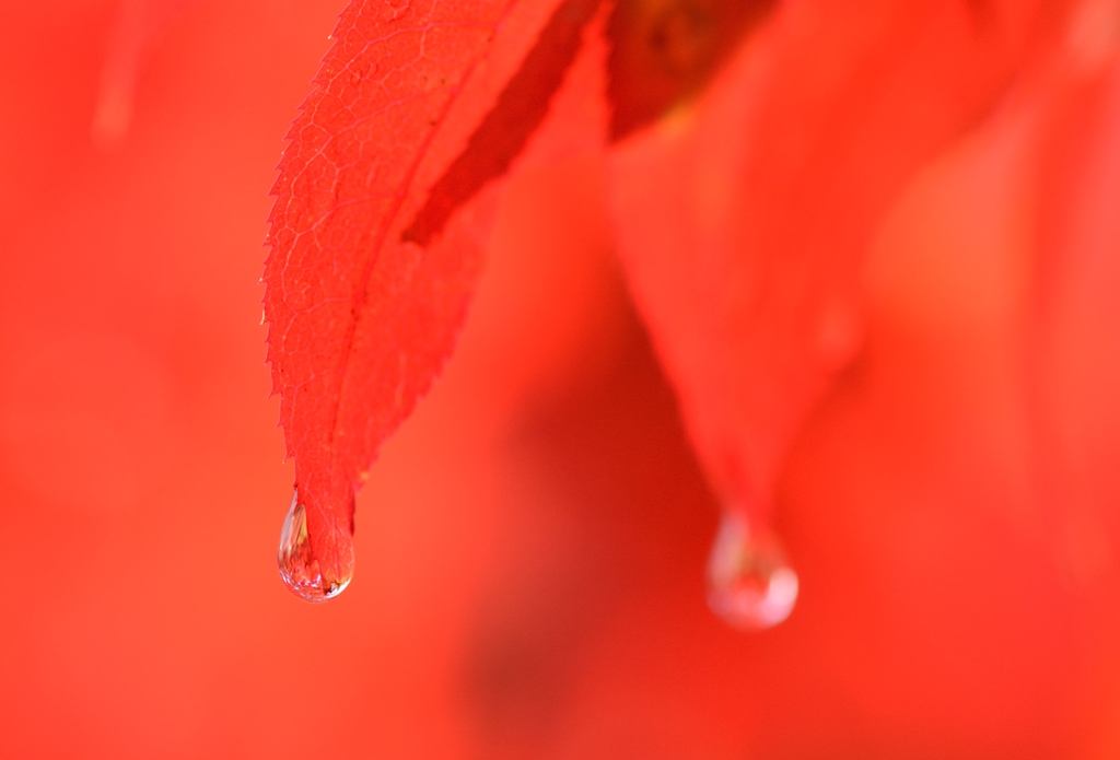 雨上がる