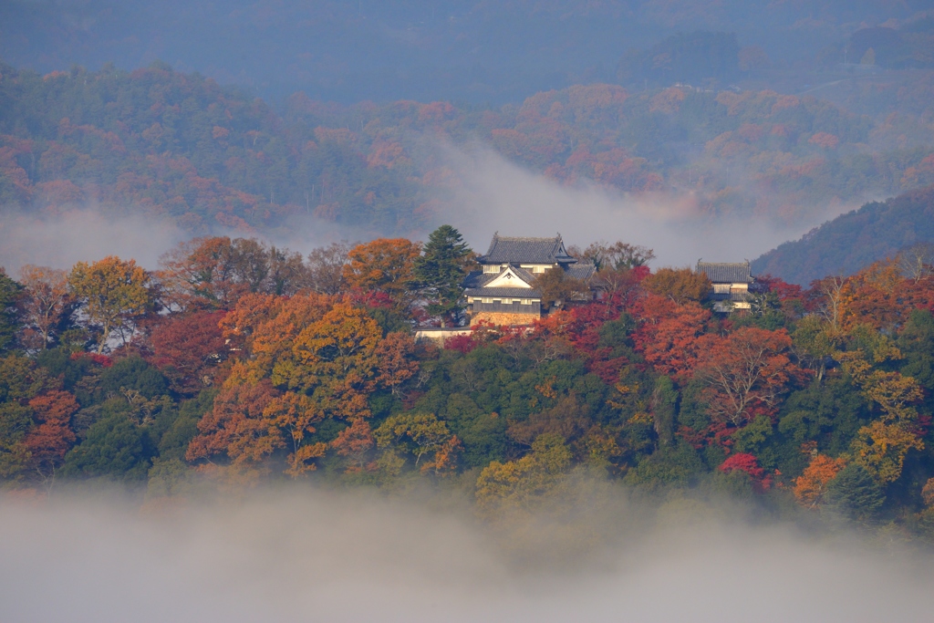 秋景