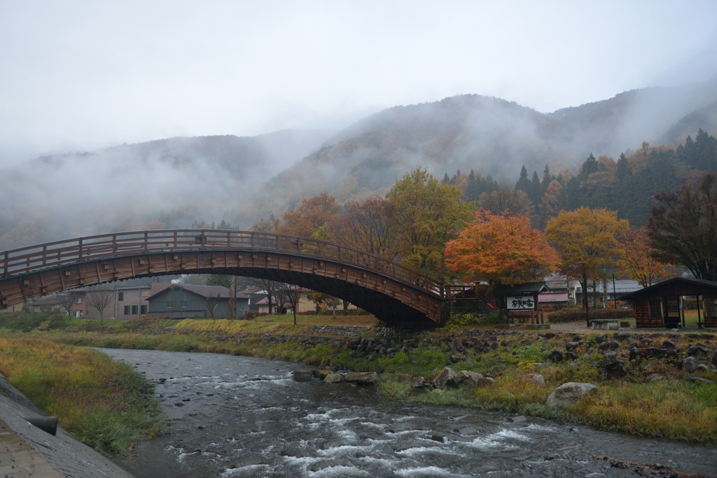 晩秋の雨