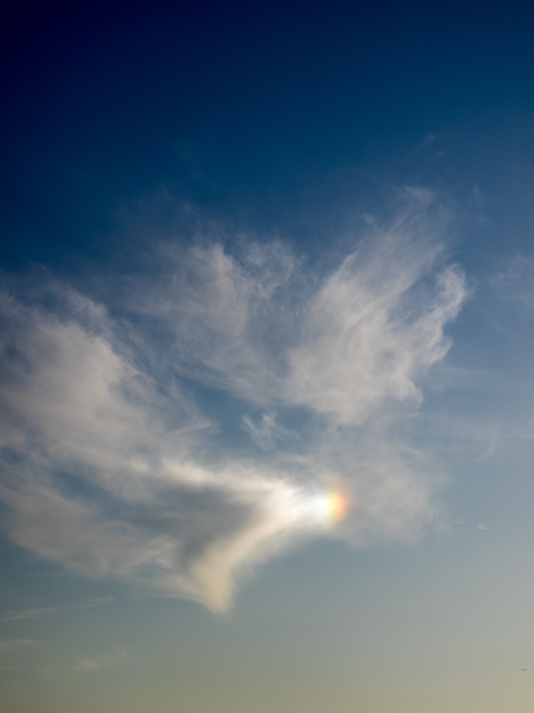 いい事あるかな