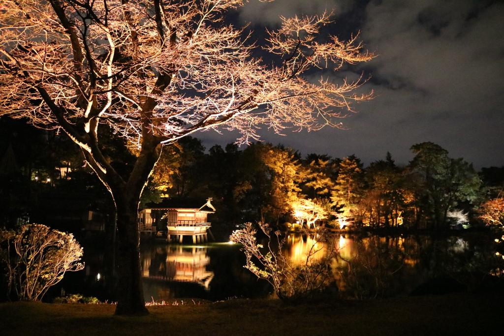 夜の散歩