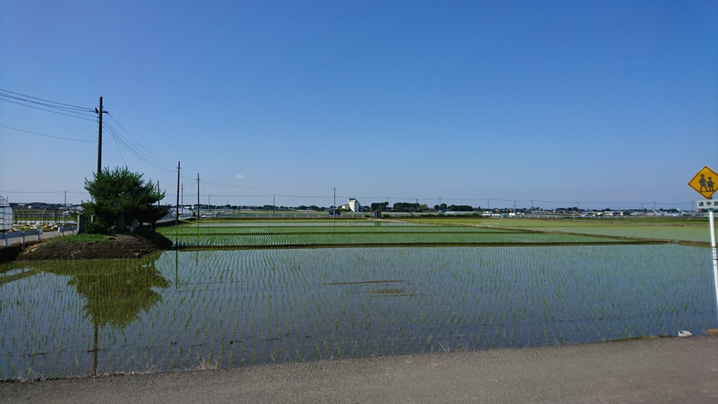 実質的には梅雨明け？