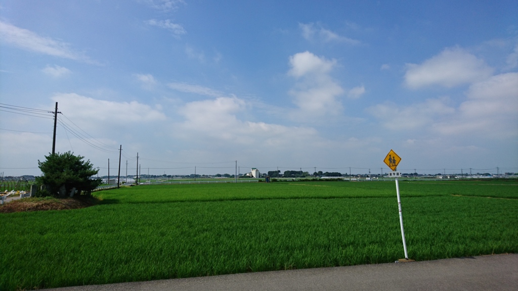 もう梅雨も終盤？