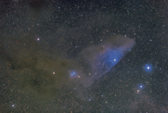 青い馬頭星雲IC4592