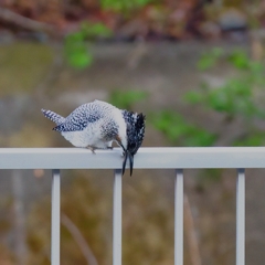 何か落とした？