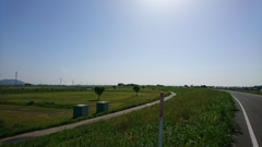 黄砂に吹かれて