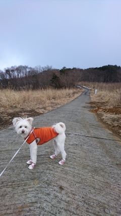 微かな期待を込めて
