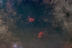 NGC6334出目金星雲(下)とNGC6357彼岸花星雲(上)