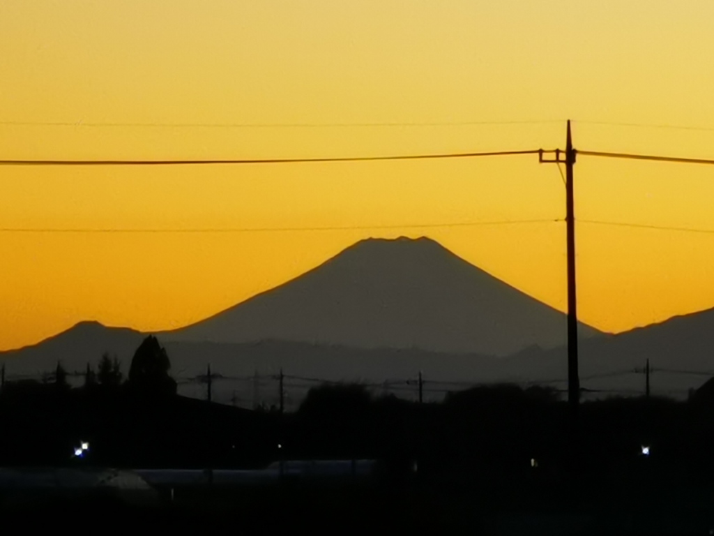 庭から