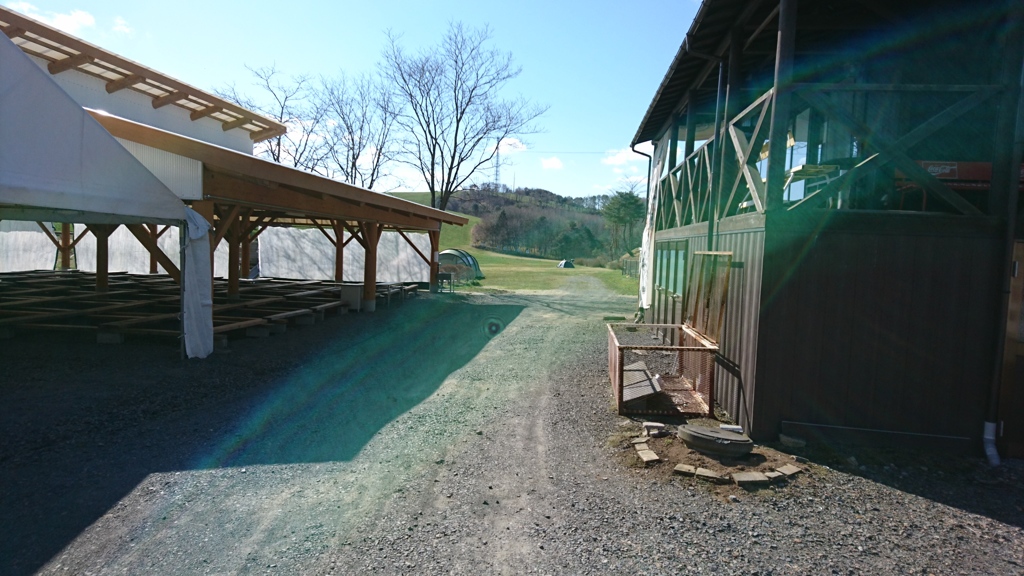 キャンプ場