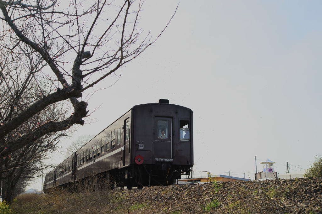 春休み