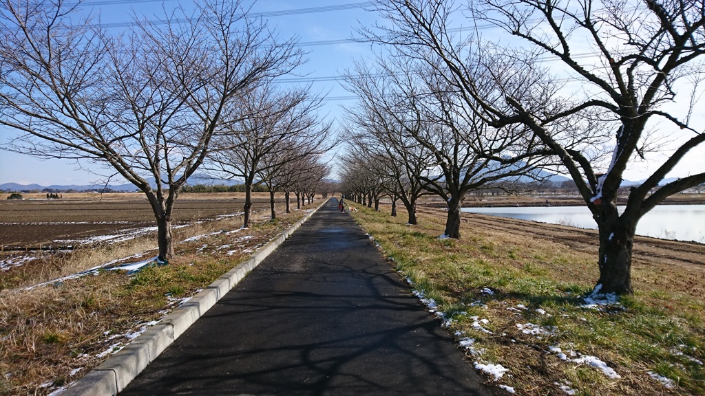前日の雪