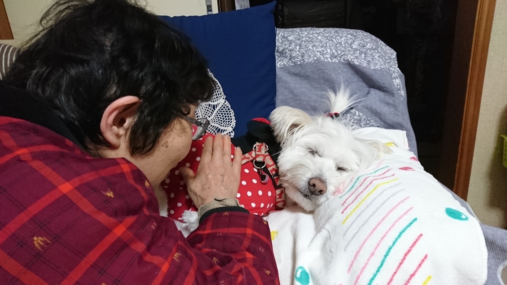 婆ちゃんと
