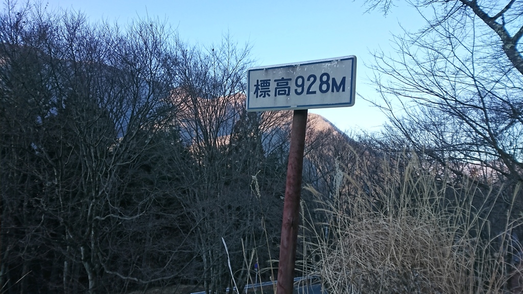 ほぼ一晩中晴れてました