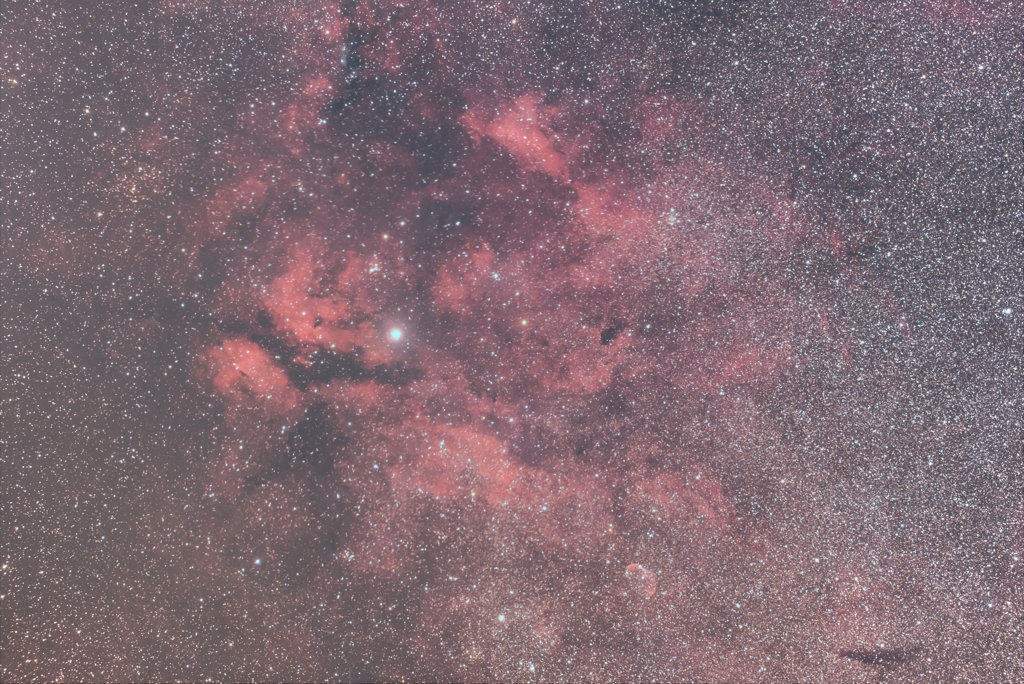 はくちょう座γ星（サドル）周辺