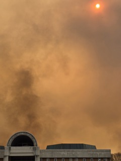 春を告げるホラーな風景
