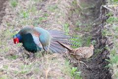 賑わう沼の畔で①