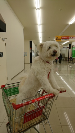 beforeトリミング 