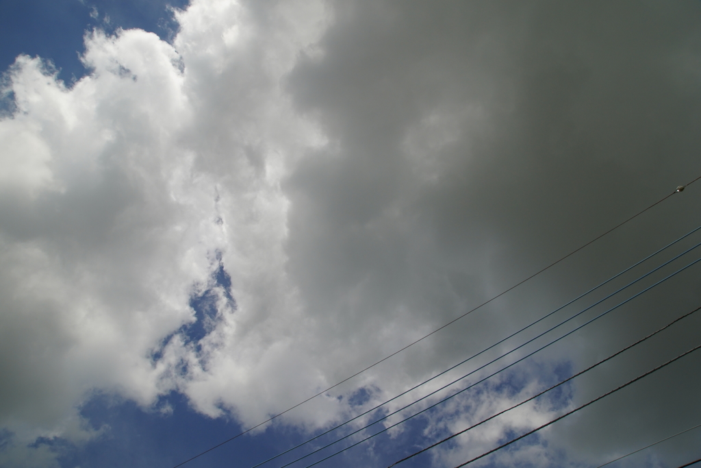 こうでなくっちゃ！