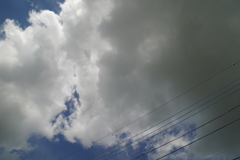 こうでなくっちゃ！