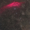 NGC1499カリフォルニア星雲と周辺の分子雲