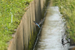 距離が