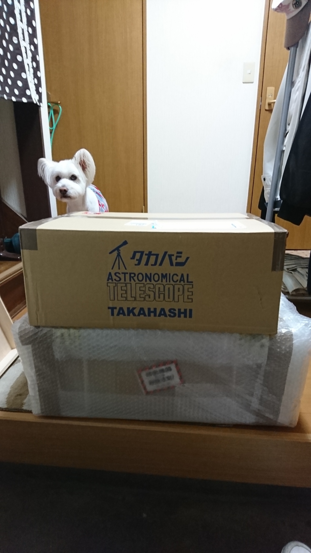 玄関開けたら赤道儀！