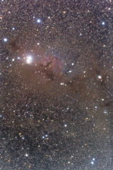 IC348（ペルセウス座）