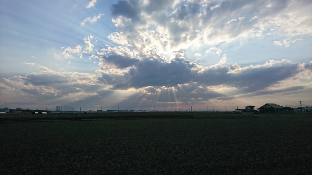 とうとうお迎えが来たか・・・