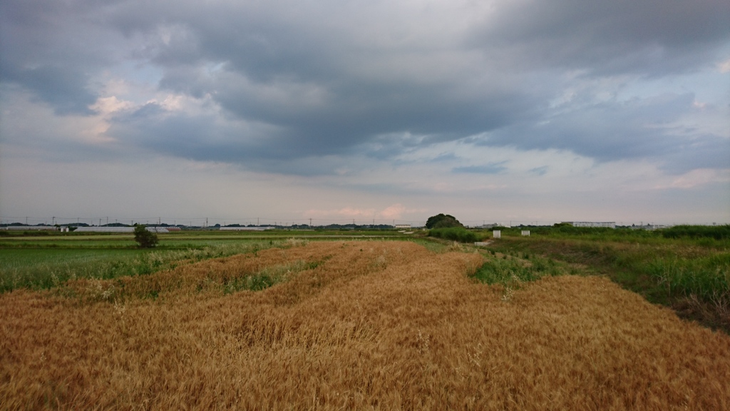 古河方面の積乱雲