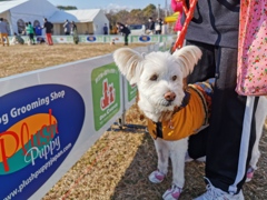 今年もお世話になりました