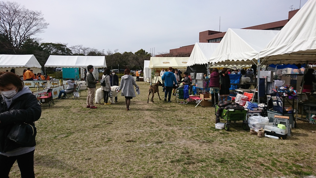 こんな感じ