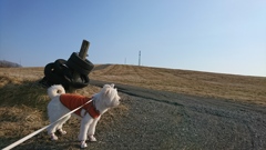 春の陽気