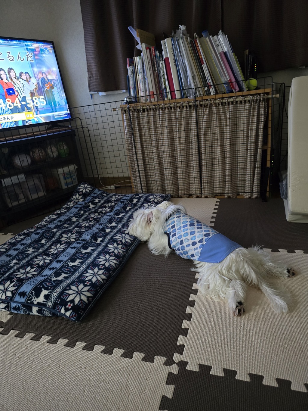 ChatGPT止めました